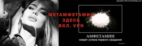 сатива Баксан