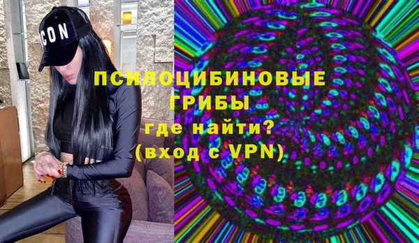сатива Баксан