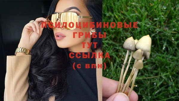 СК Балахна